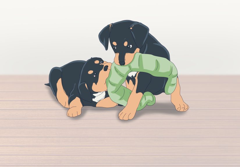 How to Make Sure That Your Dog Is Okay after Giving Birth