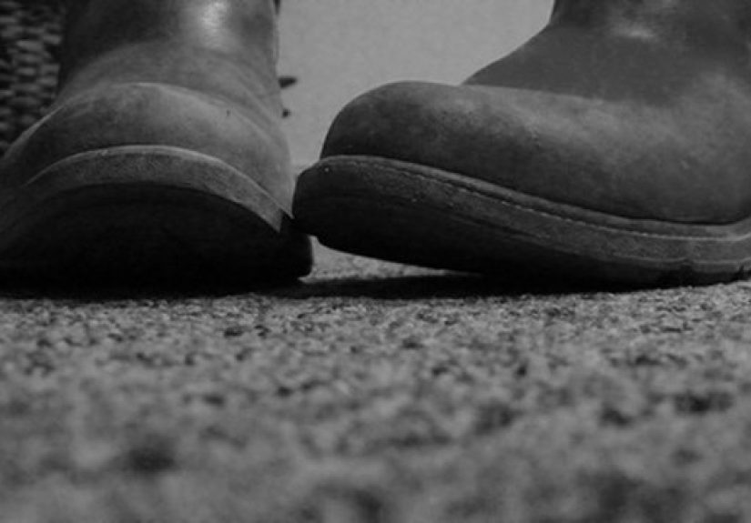 How to Remove Feces Stains From Carpet