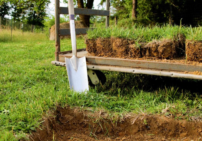How to Remove Grass From Your Yard