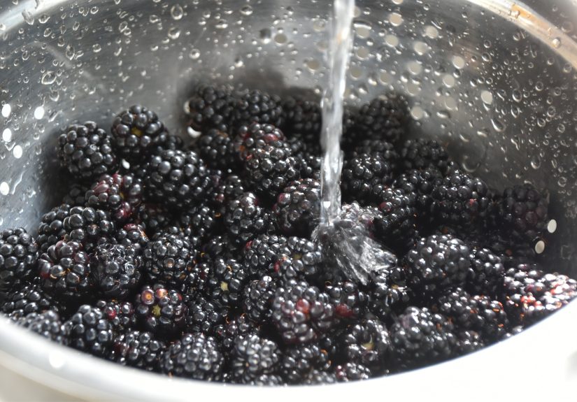 How to Wash Blackberries So They Last