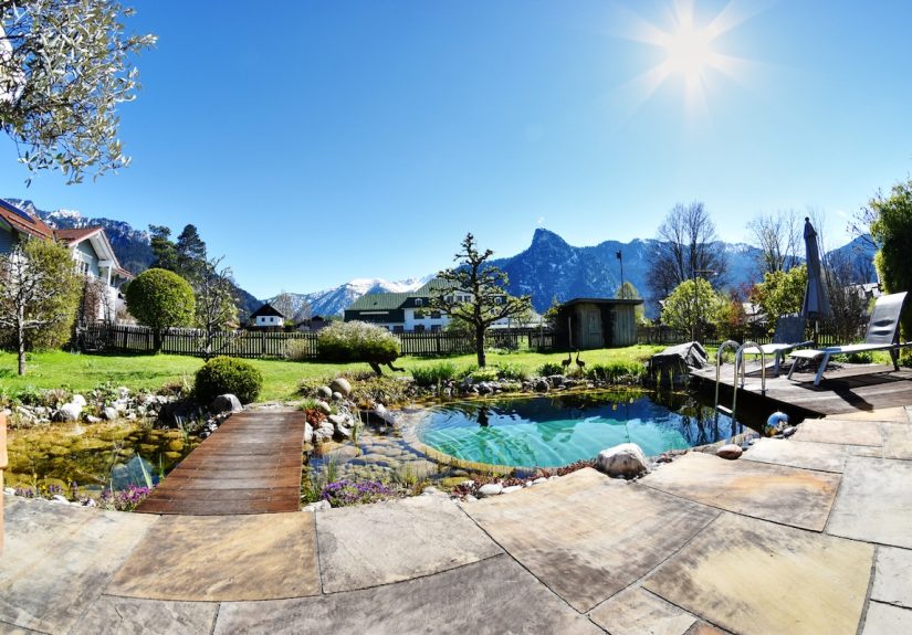 Important Things to Know About Natural Swimming Pools