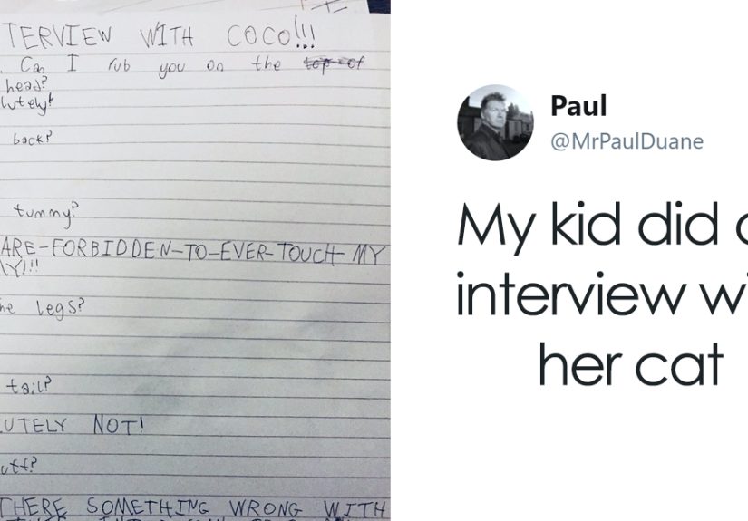 Little Girl Did An Interview With Her Cat And Someone Suggested It Should Be Illustrated, So We Did