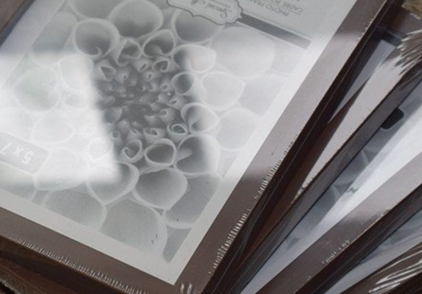 Picture Frames ---> DIY Glass Terrarium