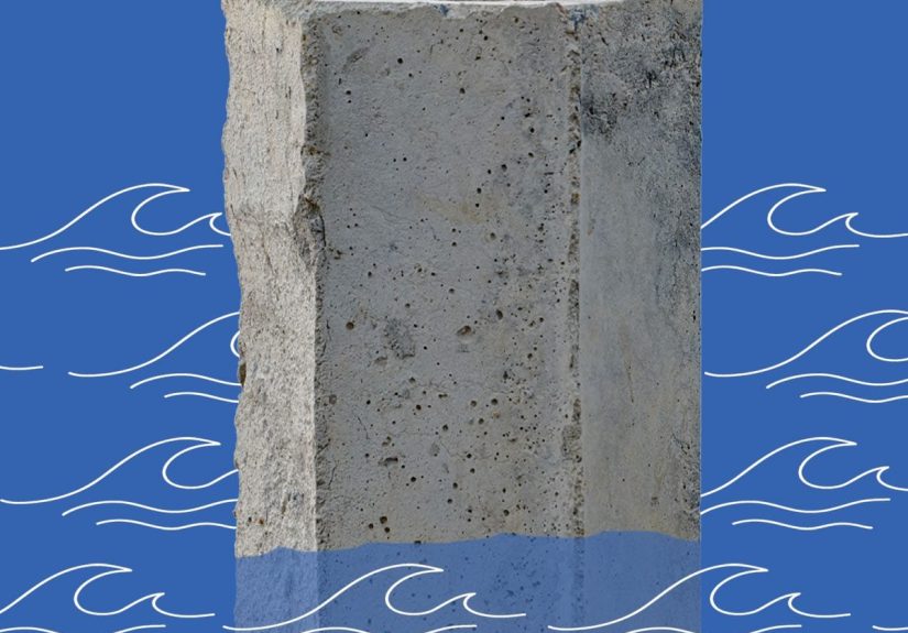 Scientists Use Mollusk Shell Secrets to Create Super-Strength Concrete