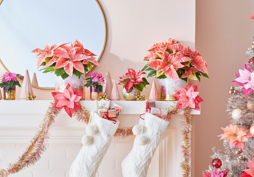 The 6 Most Popular Christmas Color Schemes of 2024, According to the Pros
