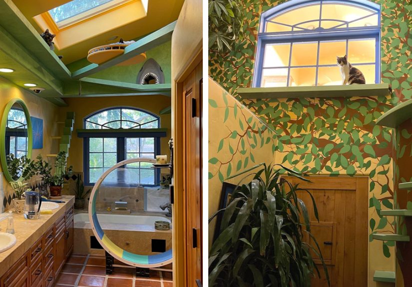 This Man Designed A Purrfect House For His 20-Plus Rescue Cats