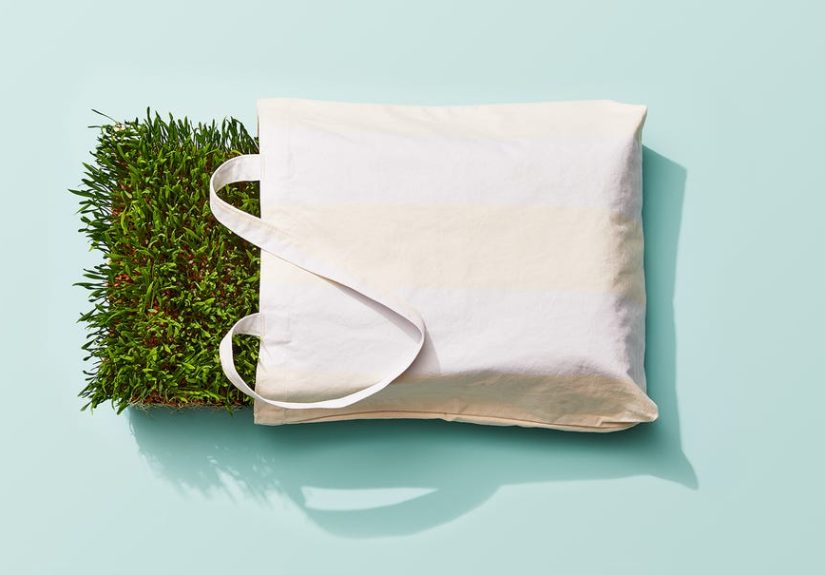 What Is Sustainability? A Sustainable Living Guide for Beginners