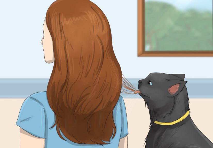 Why Does My Cat Lick My Hair? 8 Surprising Reasons