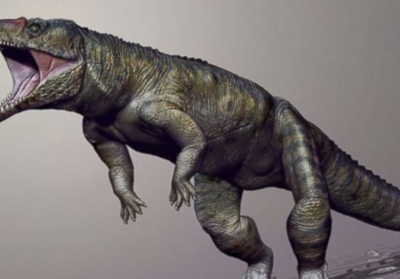10 Recently Described Extinct Animals