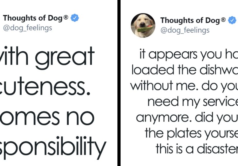 40 Of The Most Hilarious And Wholesome Dog Thoughts, As Shared By This Twitter Account