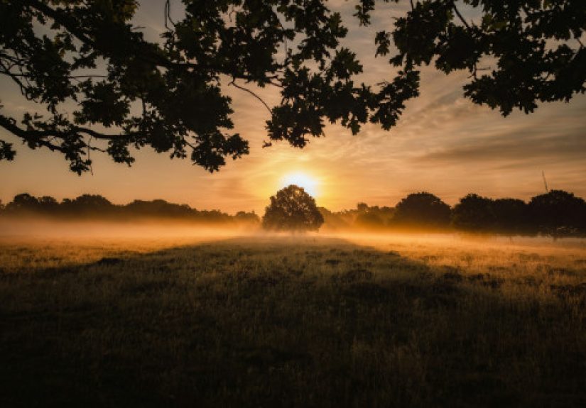 40 Quotes for Letting Go and Coping with All the Things You Can’t Control in Life