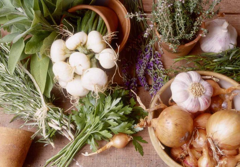 5 Great Herbs for Seasoning Onion Dishes
