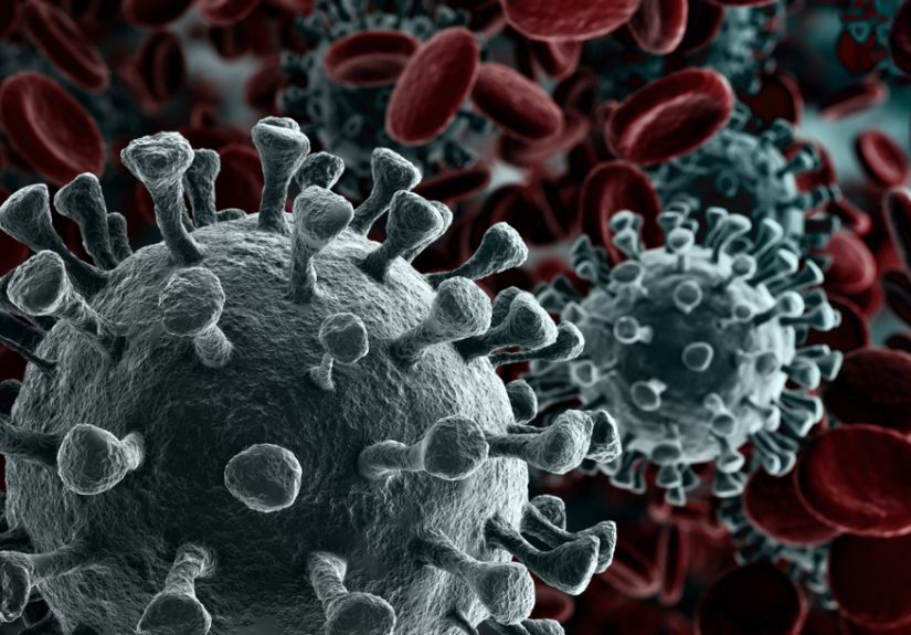 A potential discovery of highly fatal SARS coronavirus?