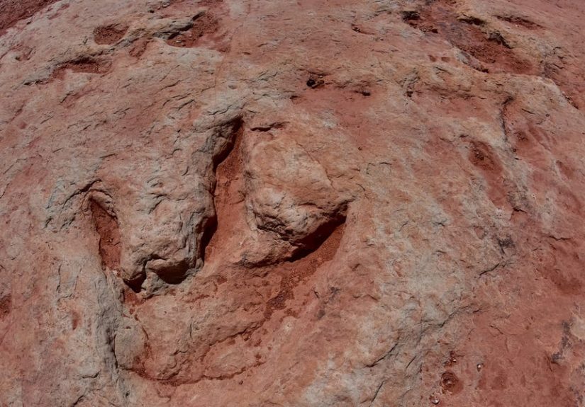 A Quarry Worker Uncovered a Dinosaur Highway Full of Jurassic Footprints