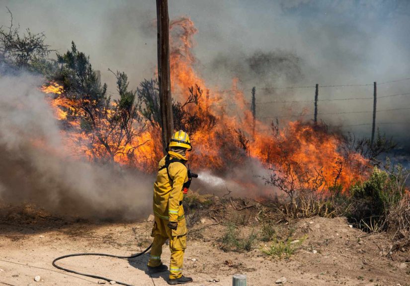 AI Advances Could Help Fight Wildfires Faster