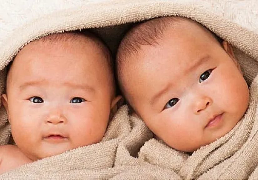 All About Twins, Triplets, and More