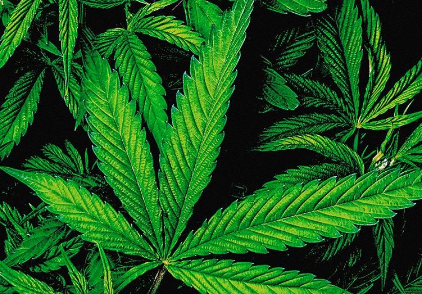 Can smoking cannabis cause kidney stones?