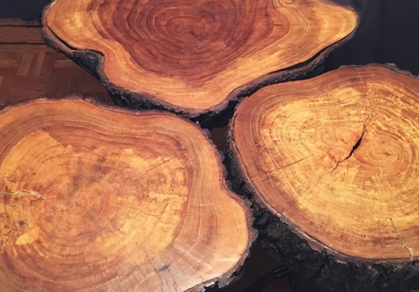 DIY Live Edge Table On A Budget