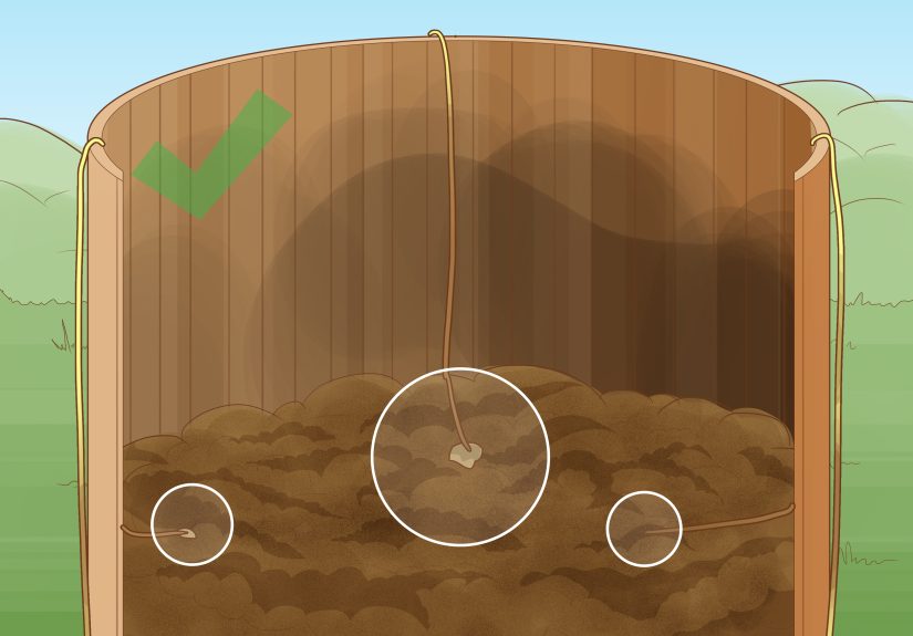 Easy Ways to Test Biodegradability of Plastic
