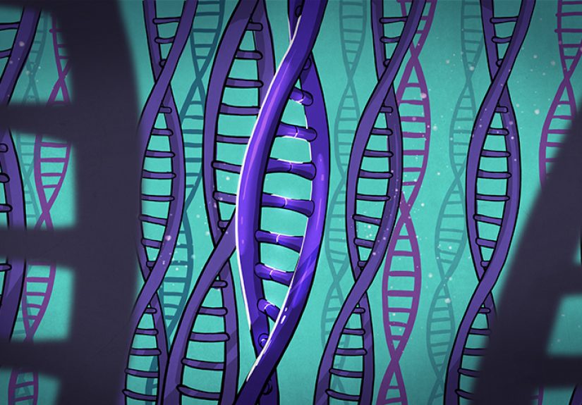 Enzymes From The Deep – The Polymerase