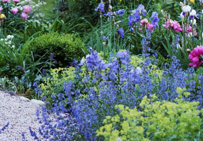 Gardening in the South