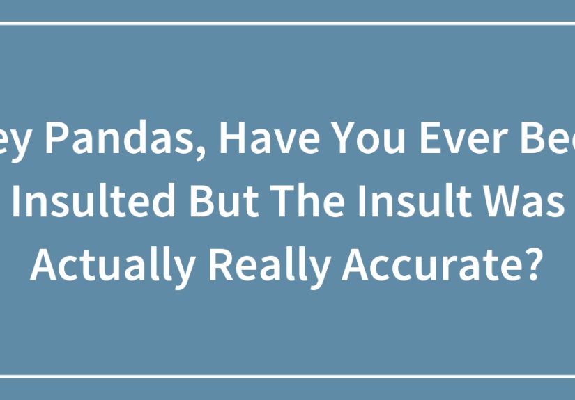 Hey Pandas, Have You Ever Been Insulted But The Insult Was Actually Really Accurate?