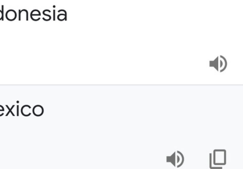 Hey Pandas, Post Some Google Translate Fails