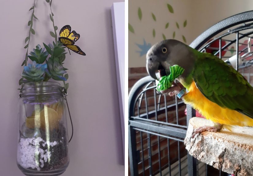 Hey Pandas, Share An Interior Decoration Hack Or Idea That You Use In Your Home