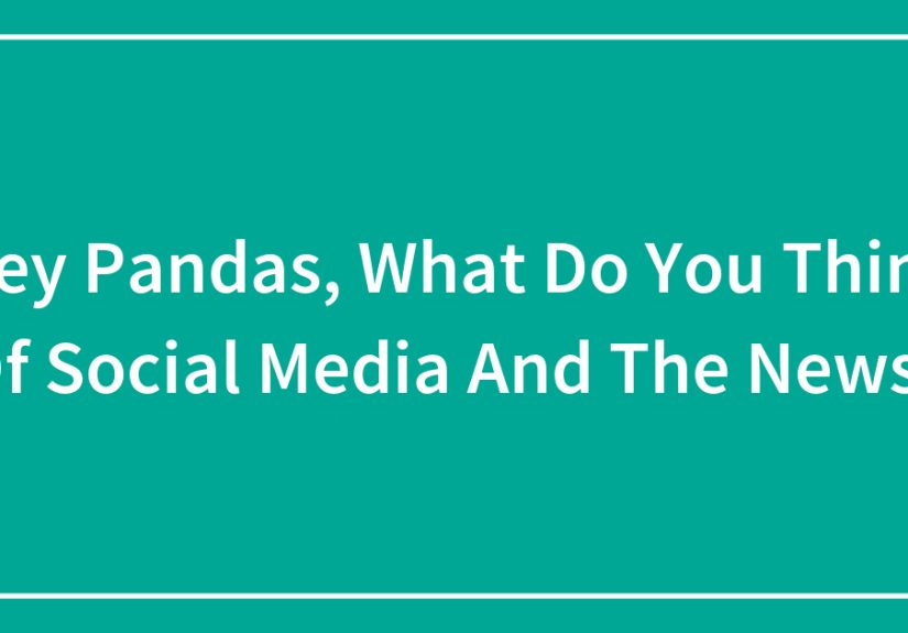 Hey Pandas, What Do You Think Of Social Media And The News?