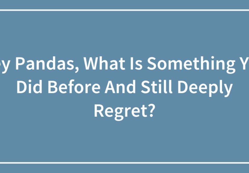 Hey Pandas, What Is Something You Did Before And Still Deeply Regret?