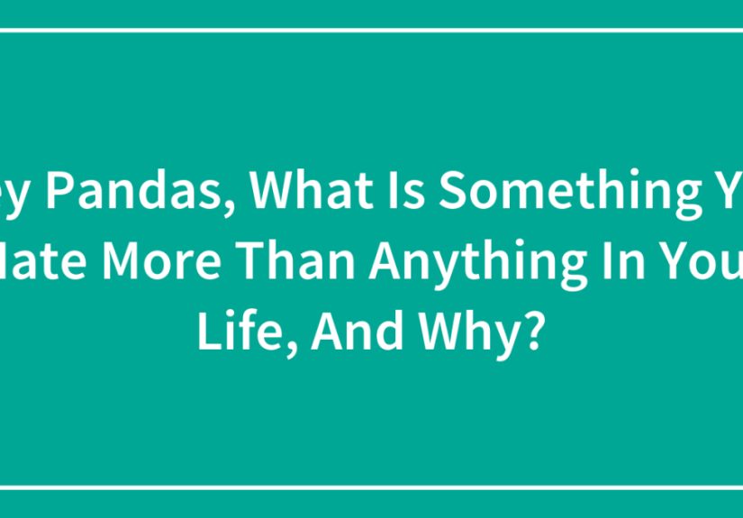 Hey Pandas, What Is Something You Hate More Than Anything In Your Life, And Why?