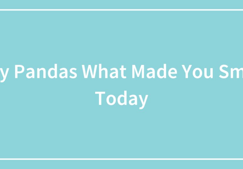 Hey Pandas What Made You Smile Today