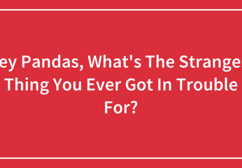 Hey Pandas, What’s The Strangest Thing You Ever Got In Trouble For?