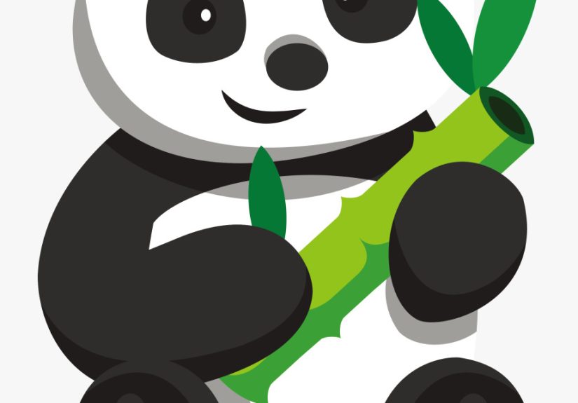 Hey Panda’s, Who Is Your Favourite Singer Or Music Group And Genre?