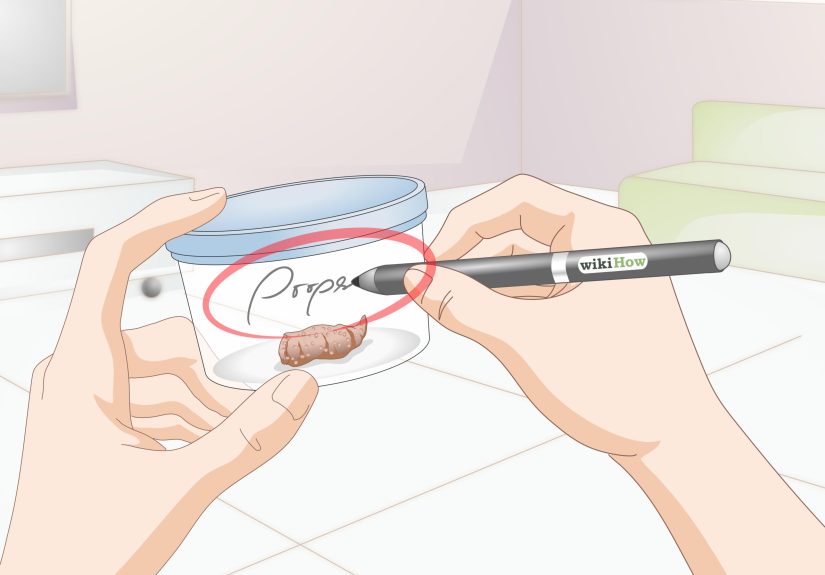 How to Get a Fecal Sample from Your Dog: 7 Steps