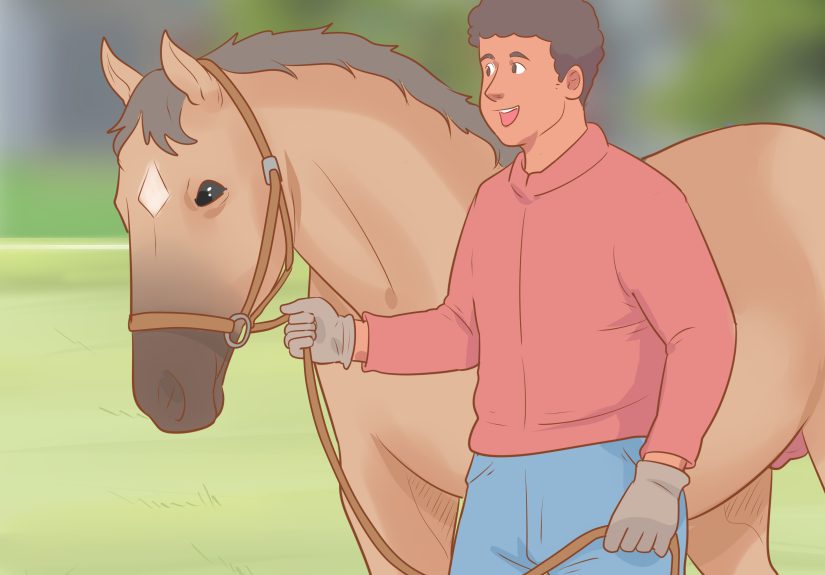 How to Meet a Horse for the First Time: 9 Steps