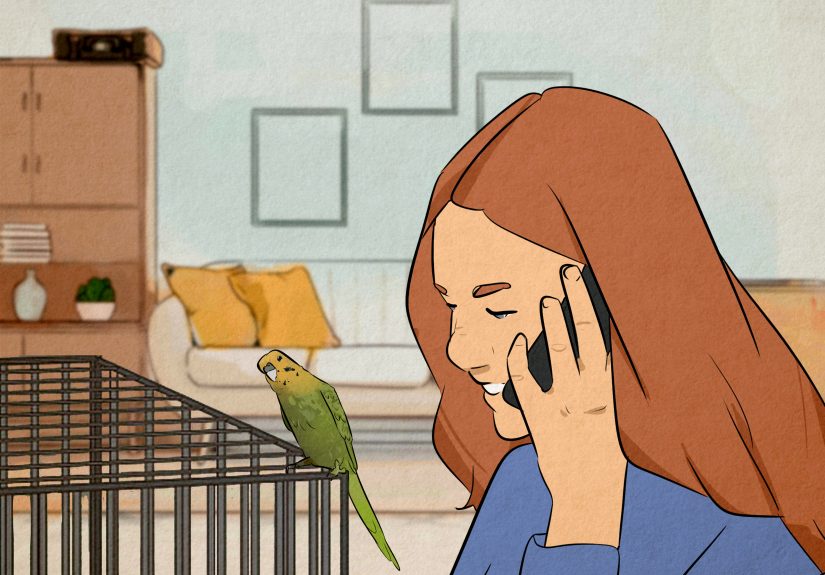 How to Tell the Age of a Budgie: Expert Tips & Tricks