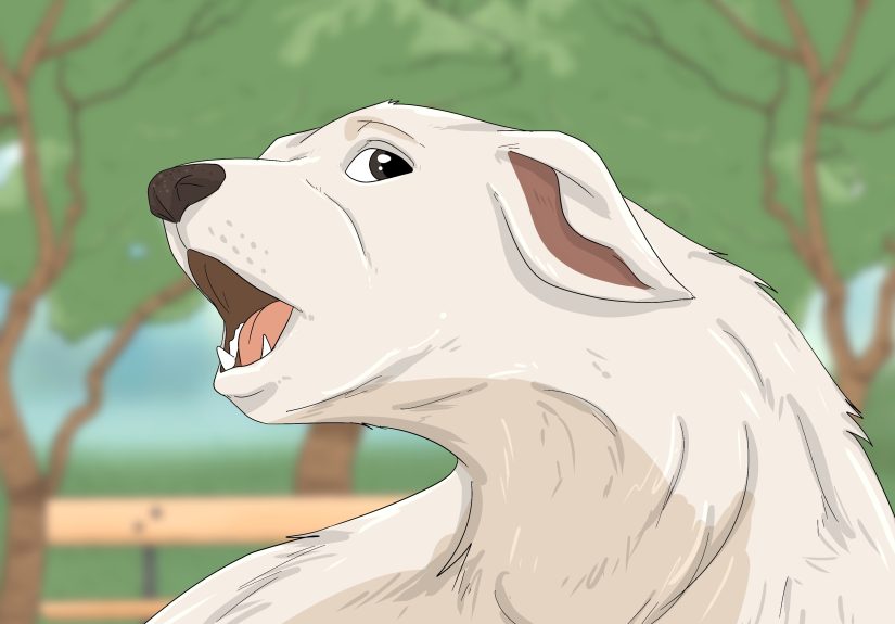 How to Train a Reactive Dog: Effective Tips and Strategies
