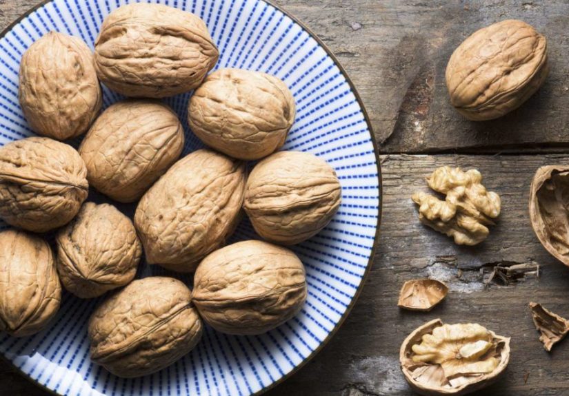 How Walnuts Benefit Your Gut Bacteria and Overall Health