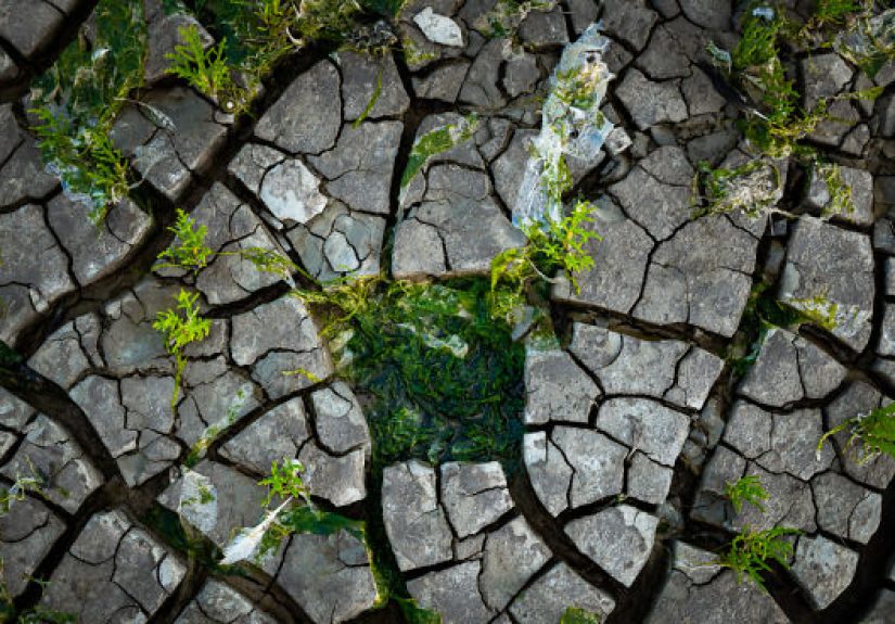 I Captured The Extreme Drought Along The Dutch Coastlines