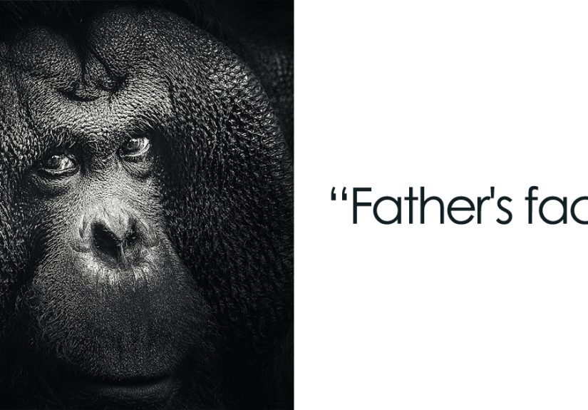 I Love Taking Animal Portraits, And Here Are The 13 Recent Photos I Captured In The Zoo