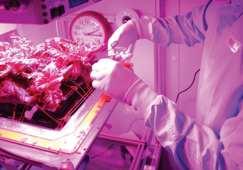 Space Food