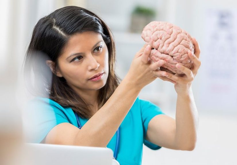 Temporal lobe: Definition, function, diagrams, and linked conditions