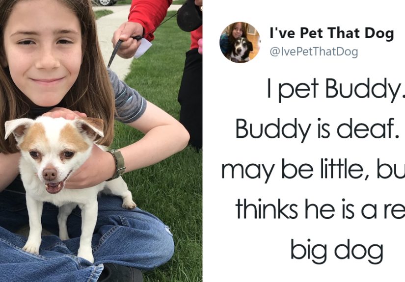 The Internet Is Obsessed With This 9-Year-Old’s Twitter Account Where He Reviews All The Dogs That He’s Petted