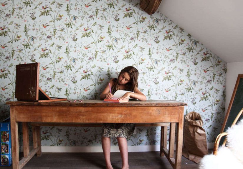 The Socialite Family Book: Lifestyles of the Young and Chic