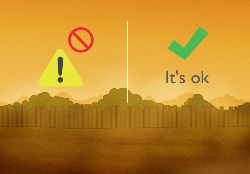 Why Is It Yellow Outside? The Science Explained