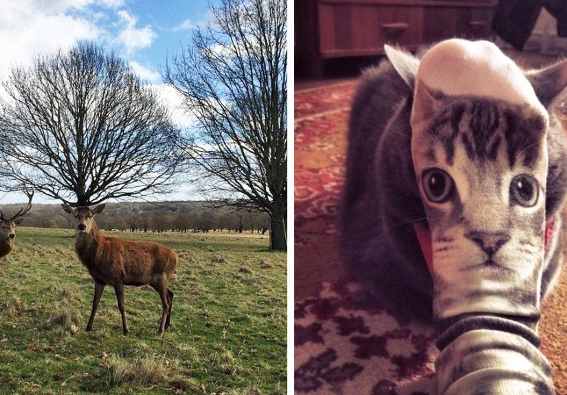 113 Photos Taken At Just The Right Moment