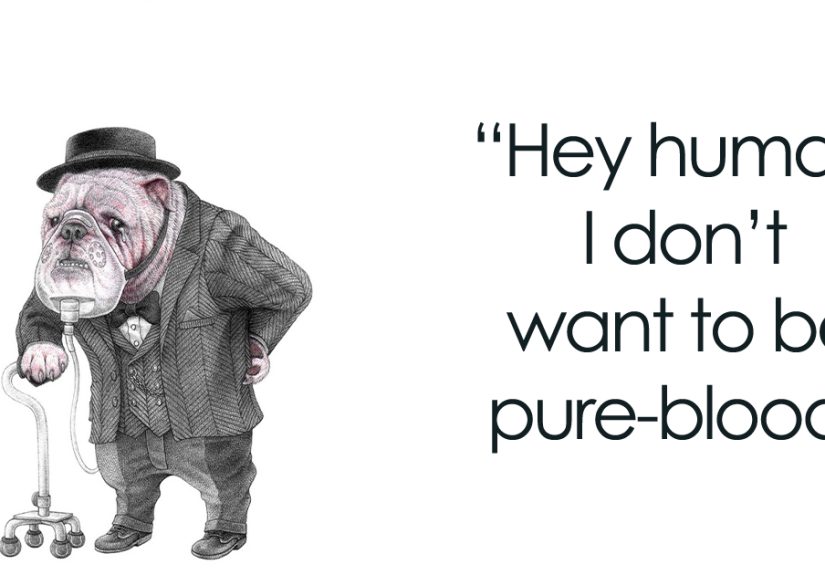 24 New Uncomfortable Illustrations This Artist Created About Animal Cruelty