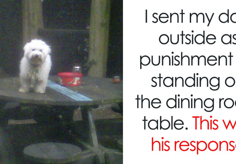 30 Badass Animals Who Don’t Care About Your Stupid Rules