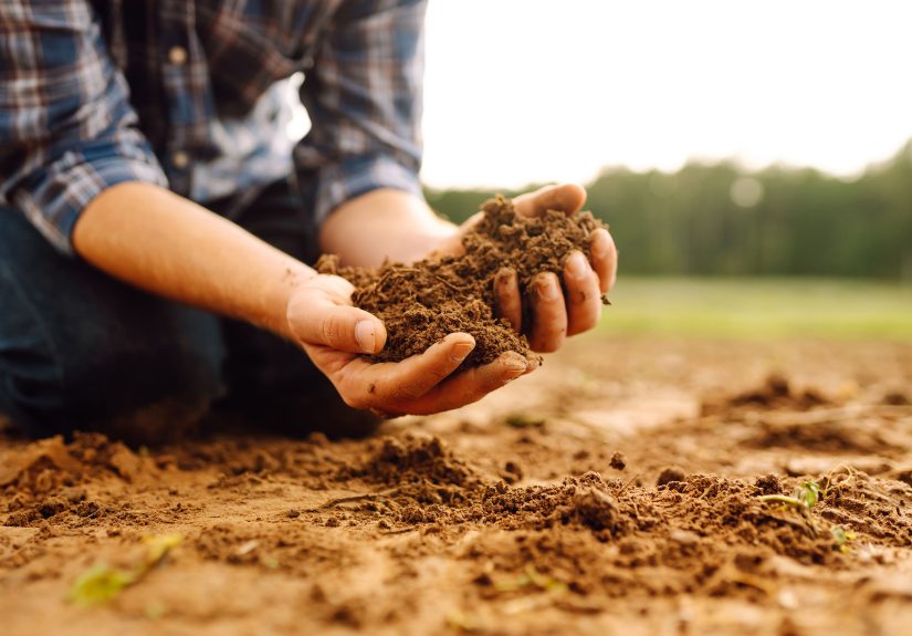 5 Simple Amendments That Turn Heavy Clay Soil into Perfect Loam